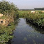 Landschap